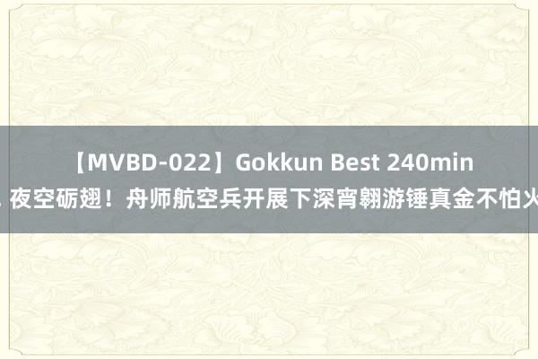 【MVBD-022】Gokkun Best 240min. 夜空砺翅！舟师航空兵开展下深宵翱游锤真金不怕火