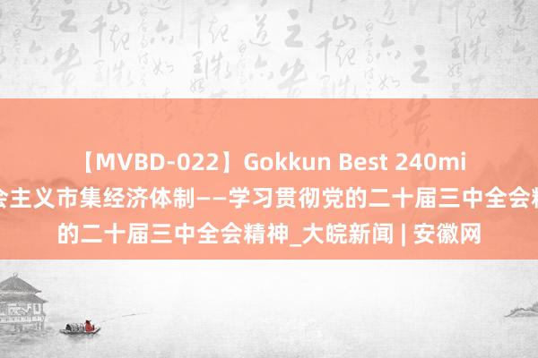 【MVBD-022】Gokkun Best 240min. 聚焦构建高水平社会主义市集经济体制——学习贯彻党的二十届三中全会精神_大皖新闻 | 安徽网