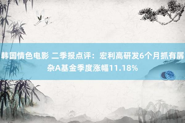 韩国情色电影 二季报点评：宏利高研发6个月抓有羼杂A基金季度涨幅11.18%