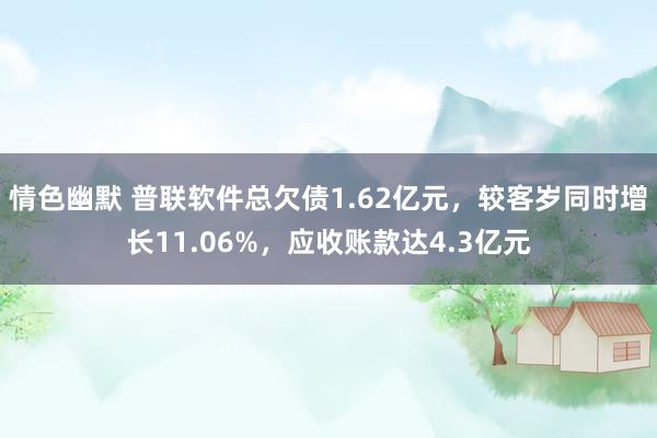 情色幽默 普联软件总欠债1.62亿元，较客岁同时增长11.06%，应收账款达4.3亿元