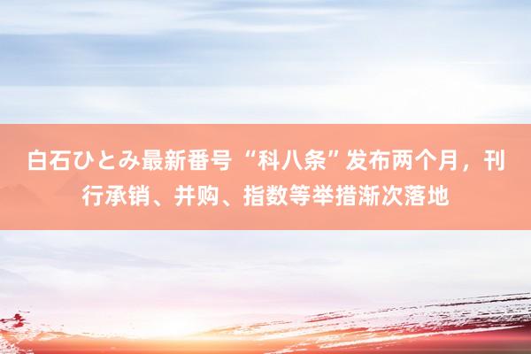 白石ひとみ最新番号 “科八条”发布两个月，刊行承销、并购、指数等举措渐次落地
