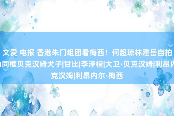 文爱 电报 香港朱门组团看梅西！何超琼林建岳自拍，霍启山同框贝克汉姆犬子|甘比|李泽楷|大卫·贝克汉姆|利昂内尔·梅西