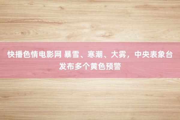 快播色情电影网 暴雪、寒潮、大雾，中央表象台发布多个黄色预警