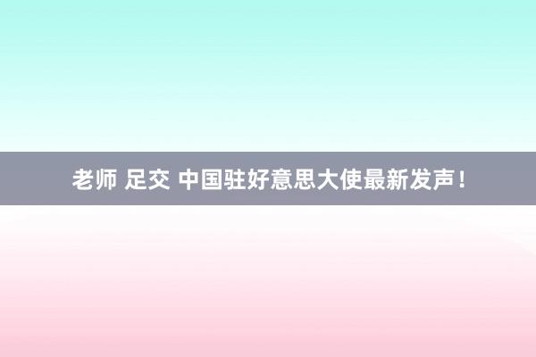 老师 足交 中国驻好意思大使最新发声！