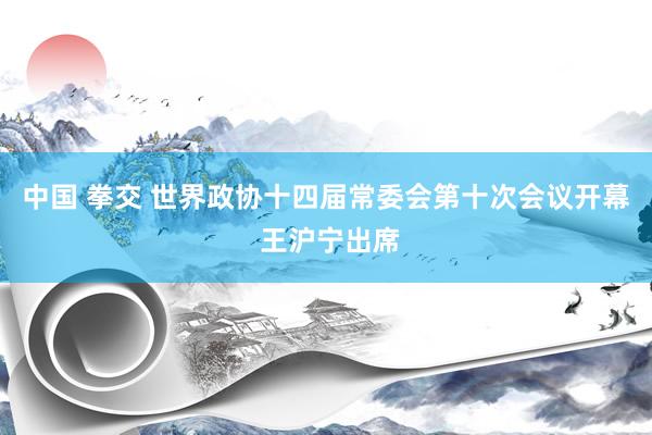 中国 拳交 世界政协十四届常委会第十次会议开幕 王沪宁出席